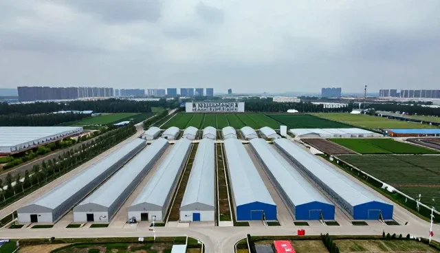 性能优化中的适用条件分析与技术咨询实践