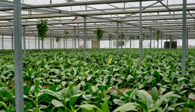管网施工方案中地质条件影响施工进度的原因分析
